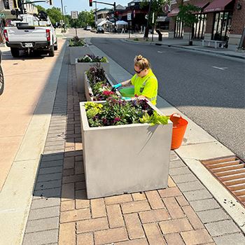 Public Works employee plants flowers in a planter